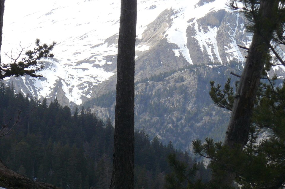 Vue vers Grande Cime depuis sentier
