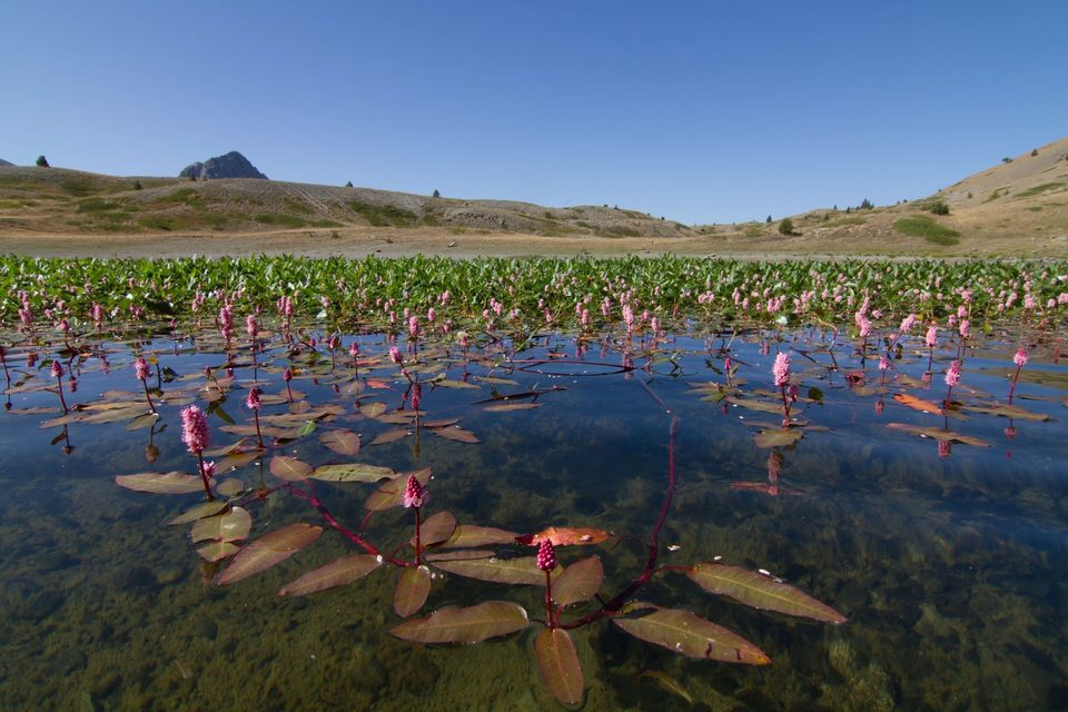 Lac Gignoux