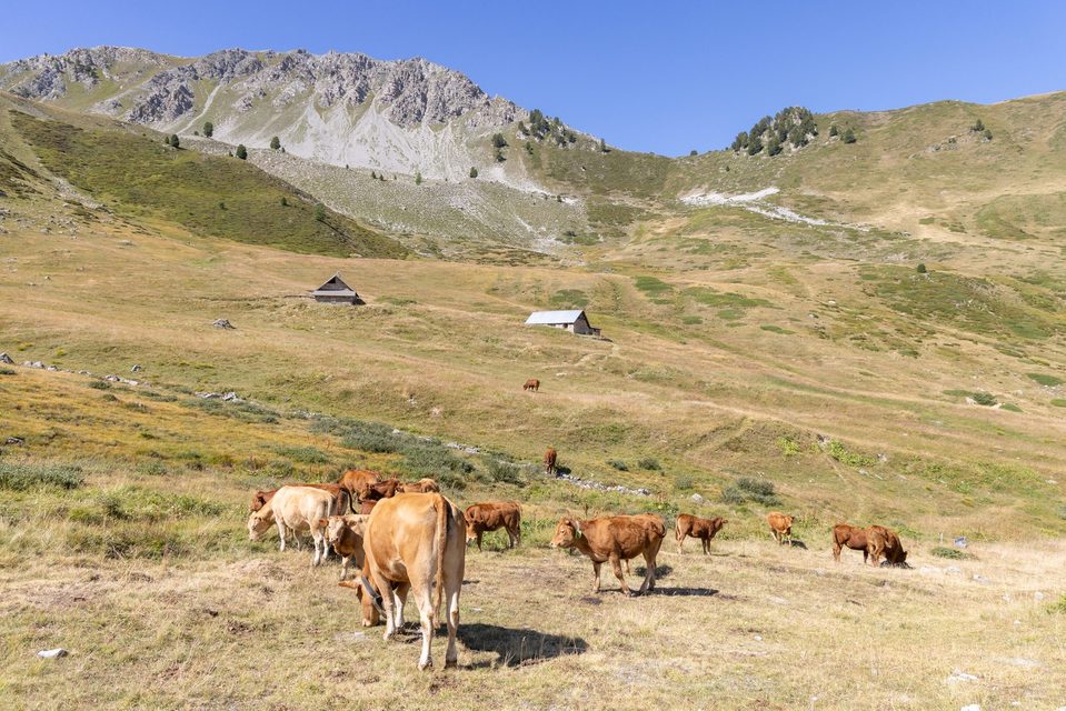 Pic de Baudouis & col des Ayes