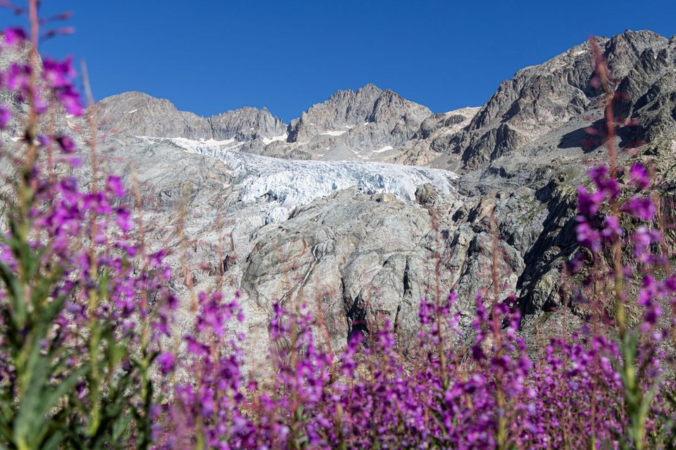 Vue sur le glacier Blanc depuis le Lac Tuckett