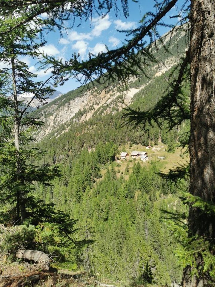 Chalets du Vallon