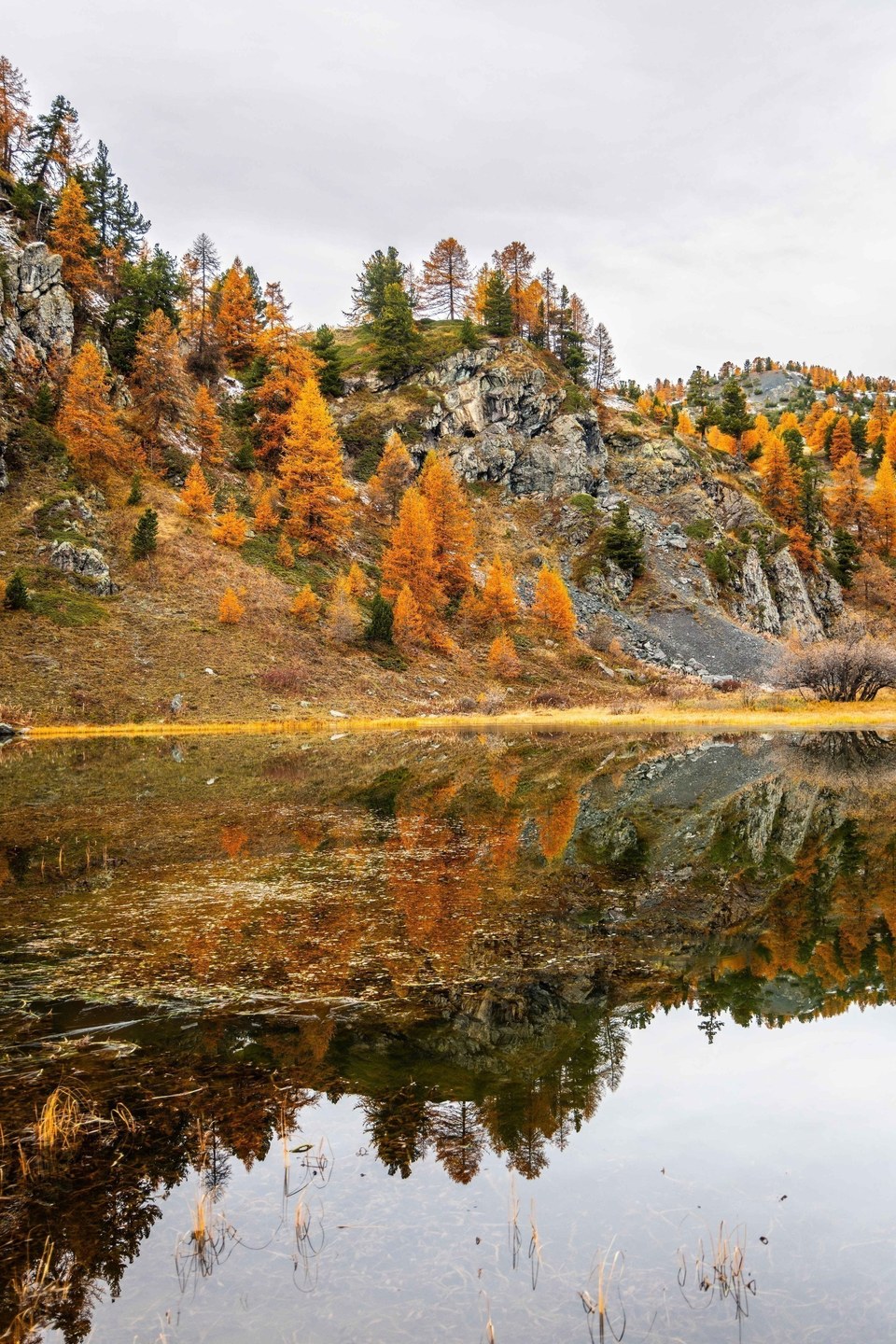 Lac des Chiens