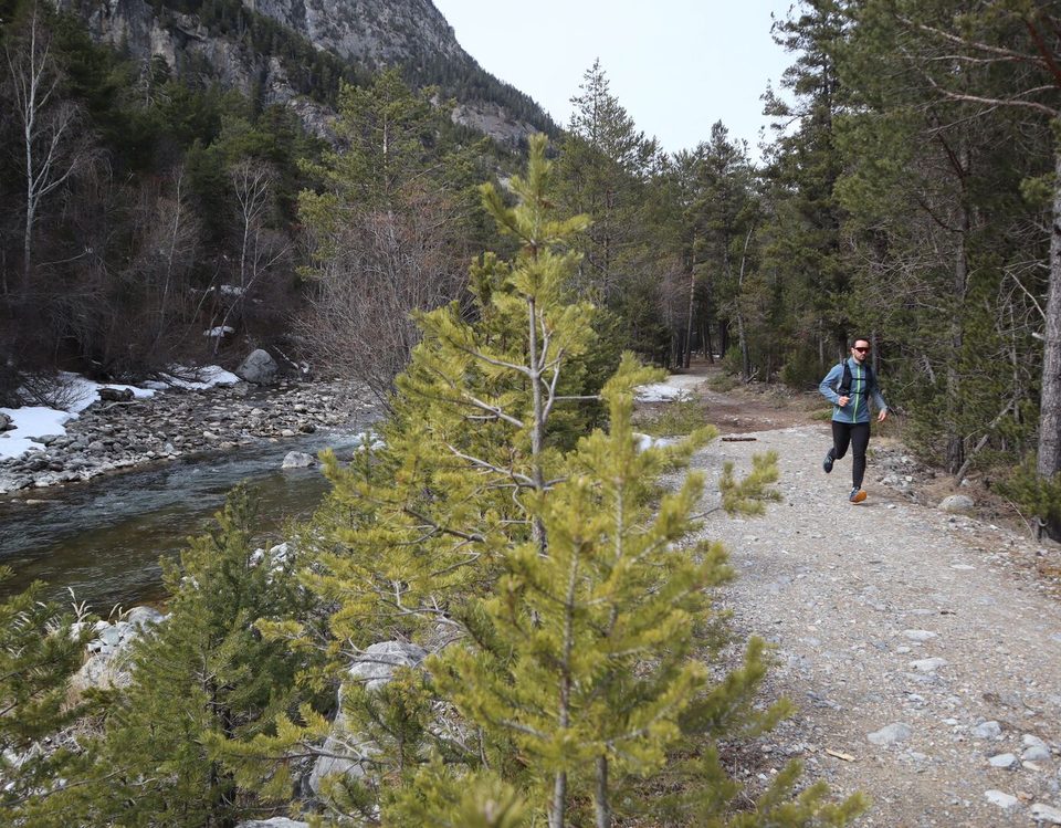 Sous-bois entre Val des Prés et Plampinet 2