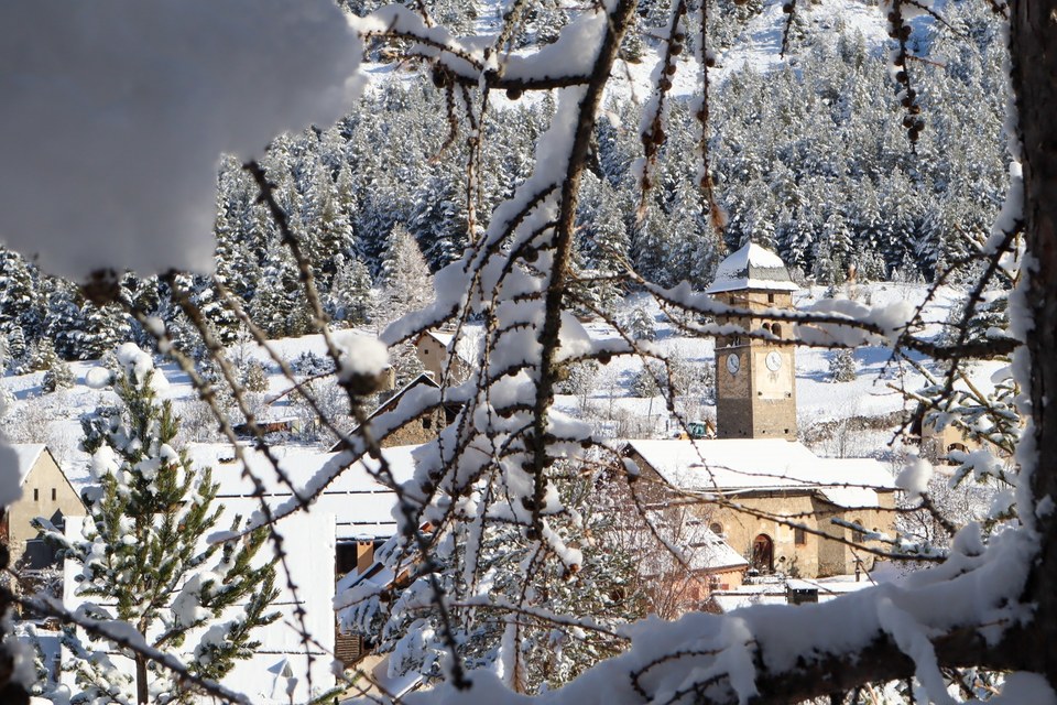 Plampinet en hiver