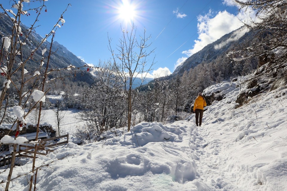 Sentier hiver Plampinet