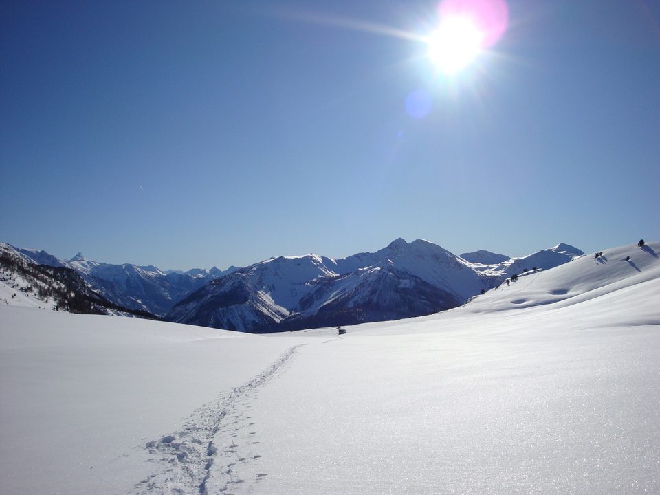 Plateau des Thures