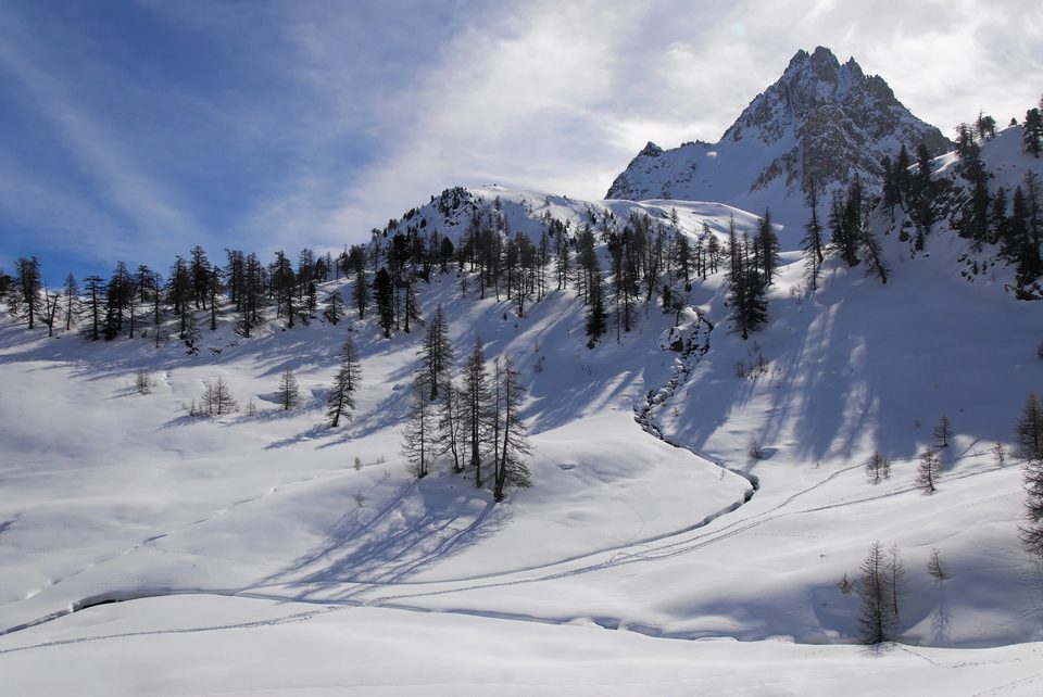 Le Chardonnet