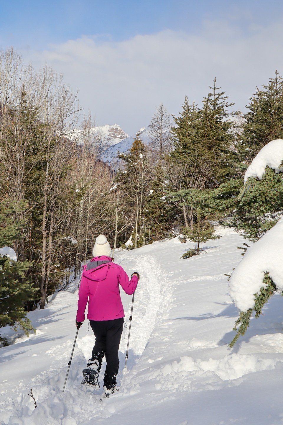 Marche en raquettes au dessus de Villar-Saint-Pancrace