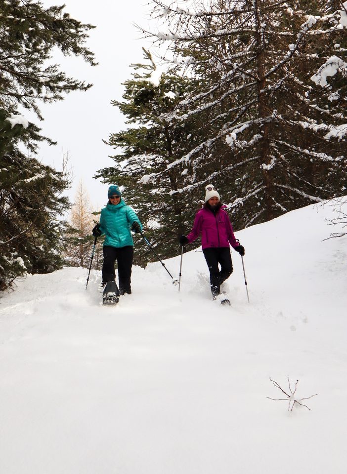 Descente en raquettes