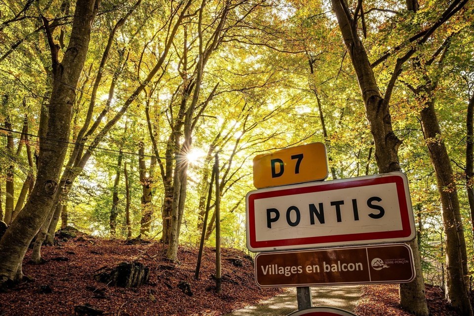 Pontis et sa hêtraie