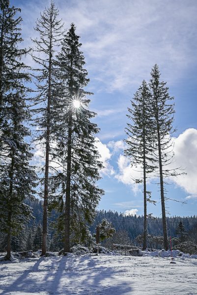 Le Crêt des Sauges
