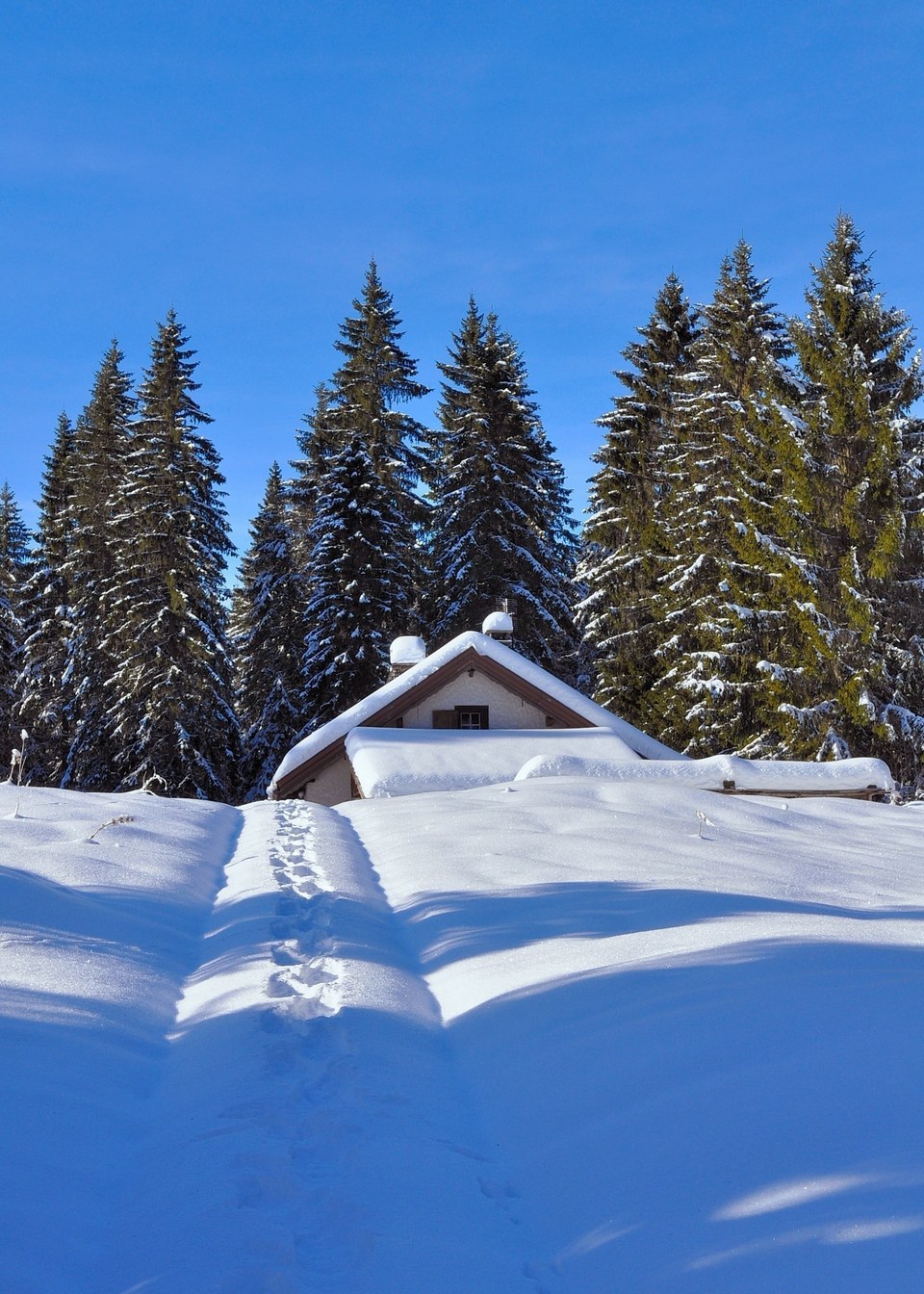 Chalet Rouge