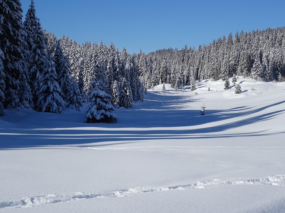ski de fond_sylvain guillaume©Jean Luc Girod (3)