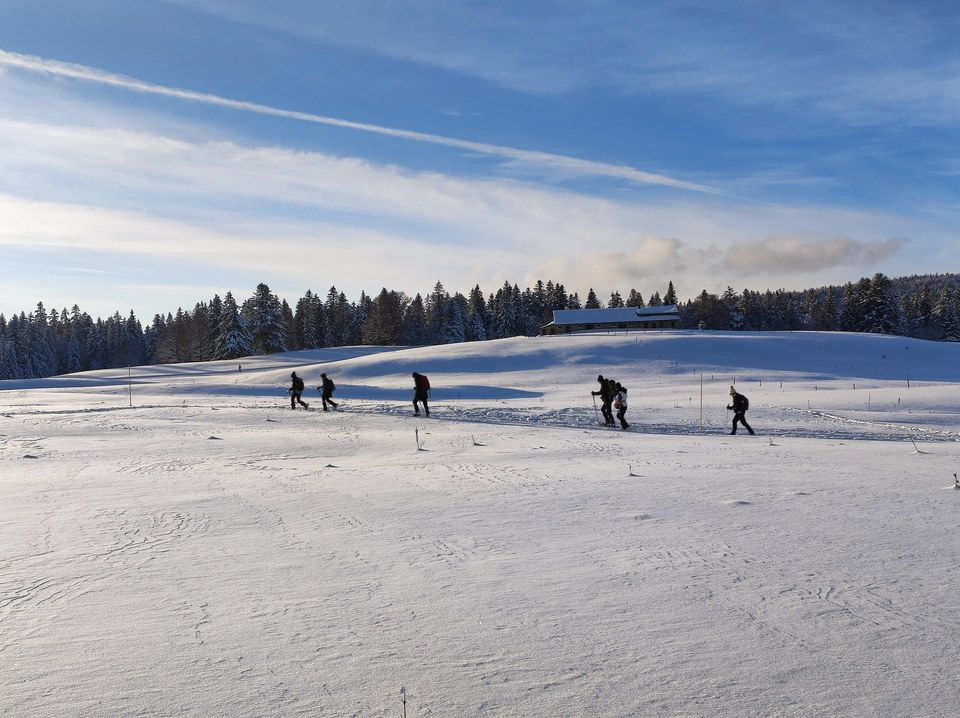 Piste verte le plateau ©AMBarbe