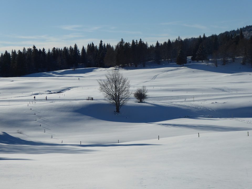 Piste bleue La Girantette ©AMBarbe 3