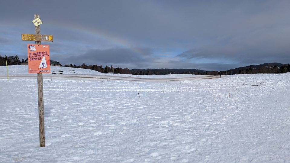 PXL_20230217_102538366