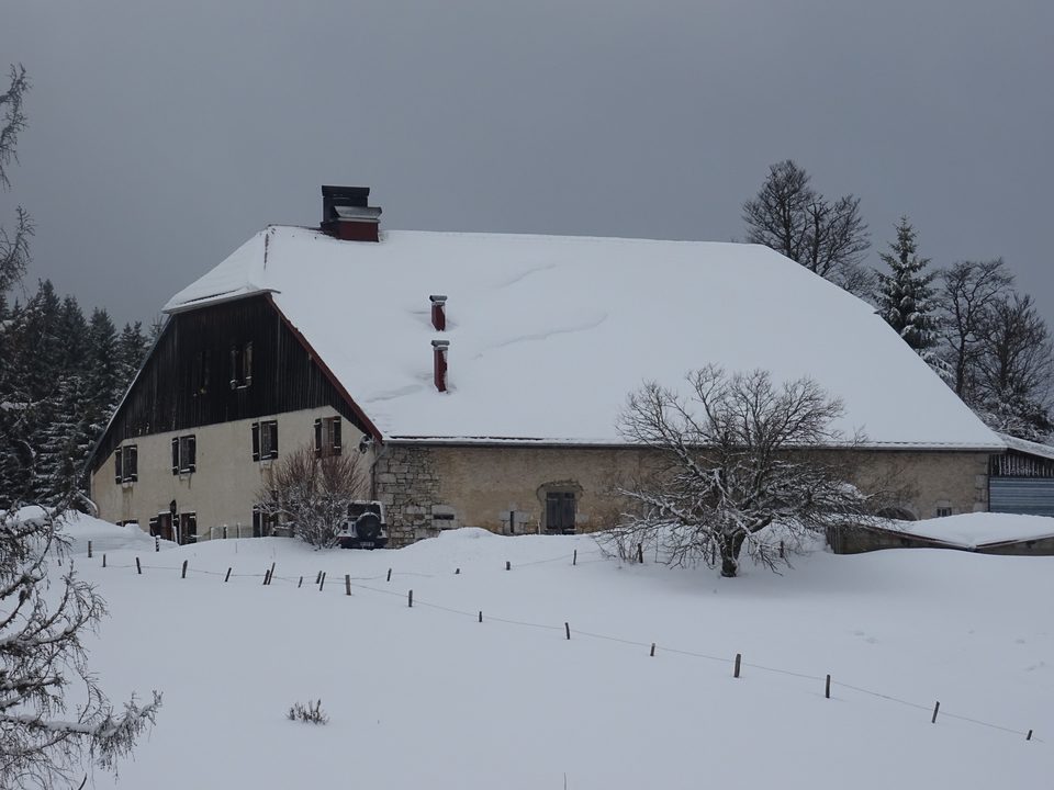 DSC02590Boissaude