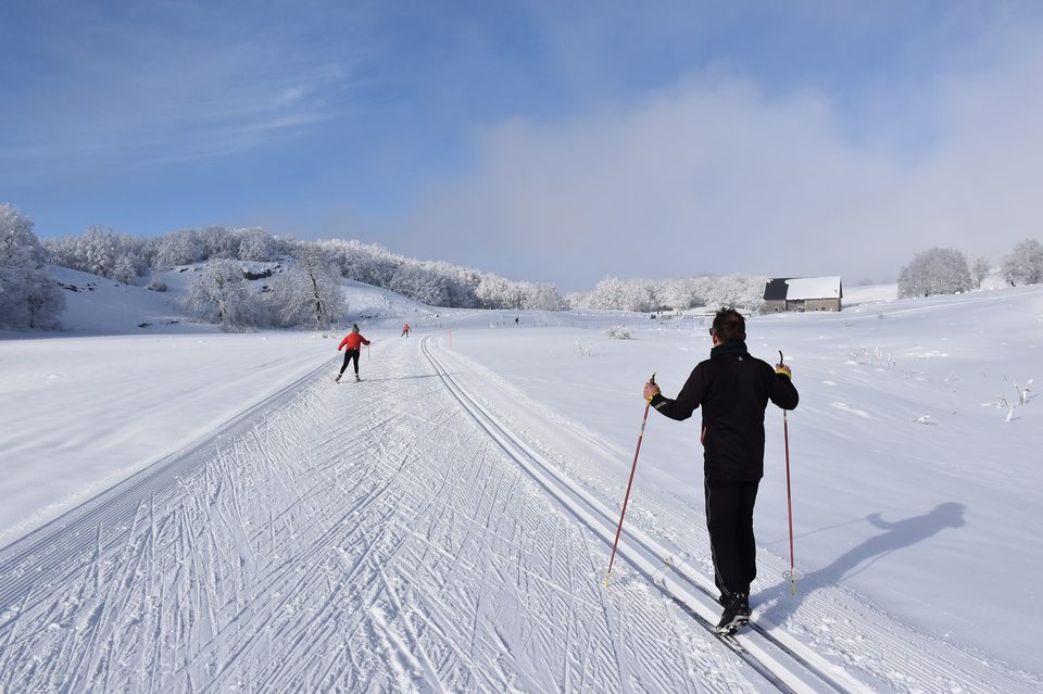 ©Philippe Carrara - DSC_0442