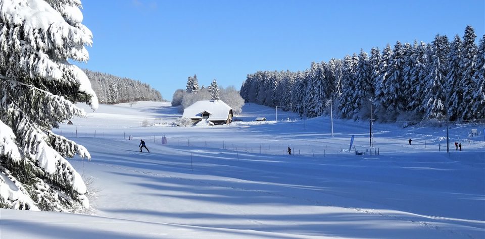 DSC09992