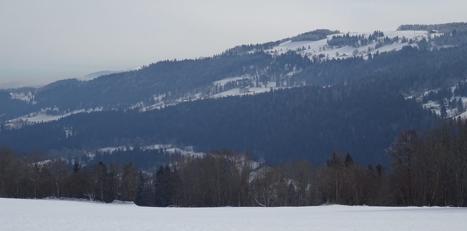 DSC05290 montagne de Pouillerel (suisse)
