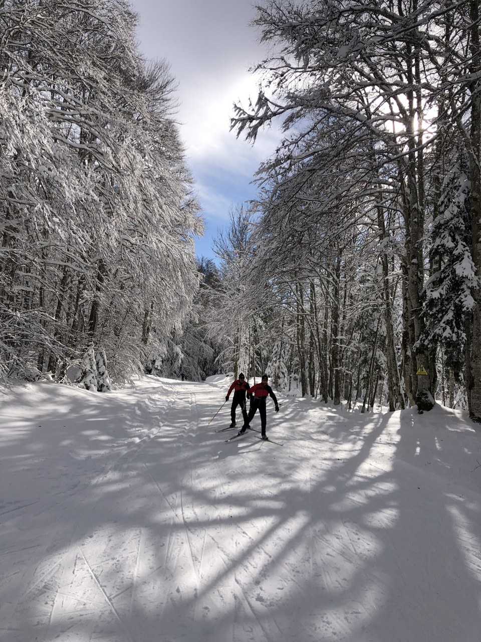 Lachat 2023 ©Maxime Ballet (12)