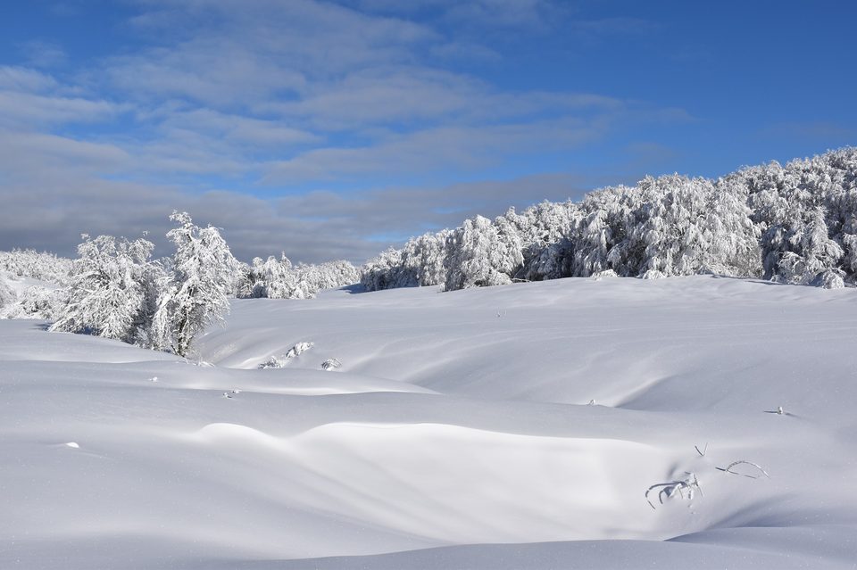 ©Philippe Carrara - DSC_1383