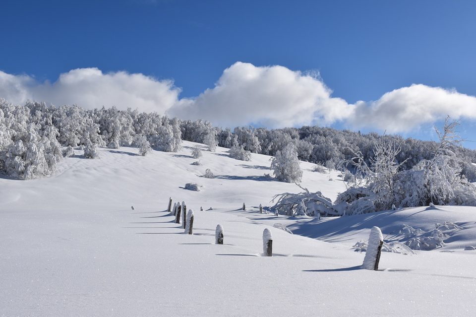 ©Philippe Carrara - DSC_1386
