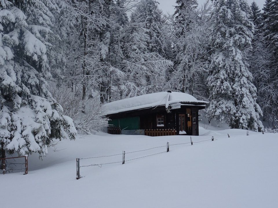 DSC02601