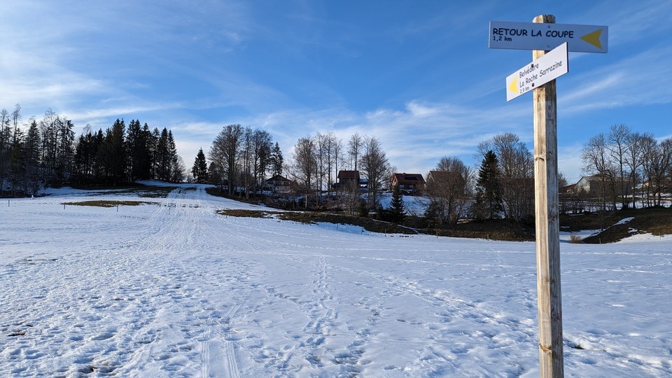 PXL_20230215_153133756
