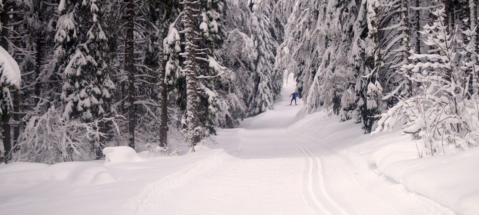 Mouthe Chez Liadet ski fond mouthe ©EliseThouret
