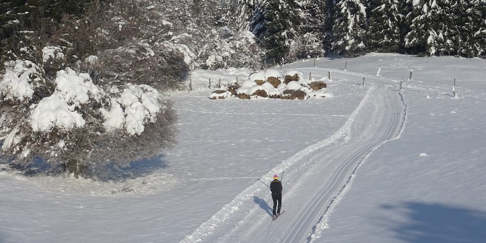 ski de fond_billin © Jean Luc Girod