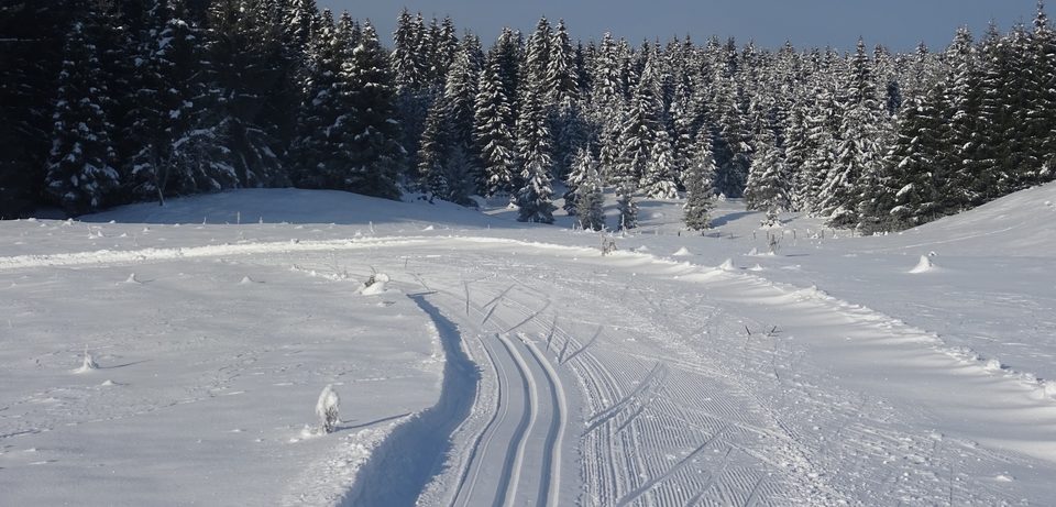 ski de fond_billin © Jean Luc Girod (2)