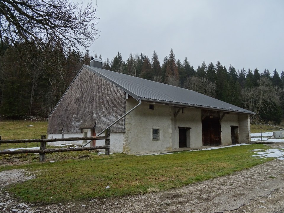 DSC03400