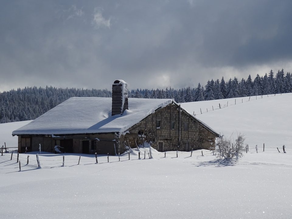 DSC05726 Bougaud