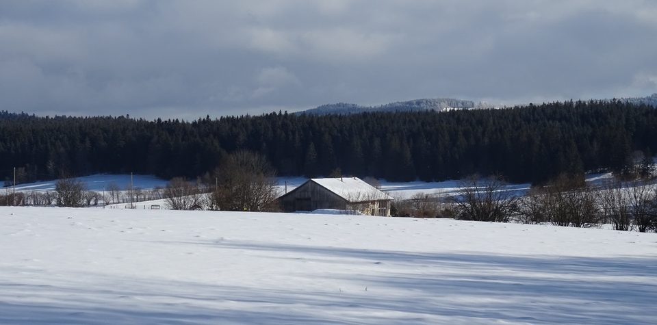 La villageoise