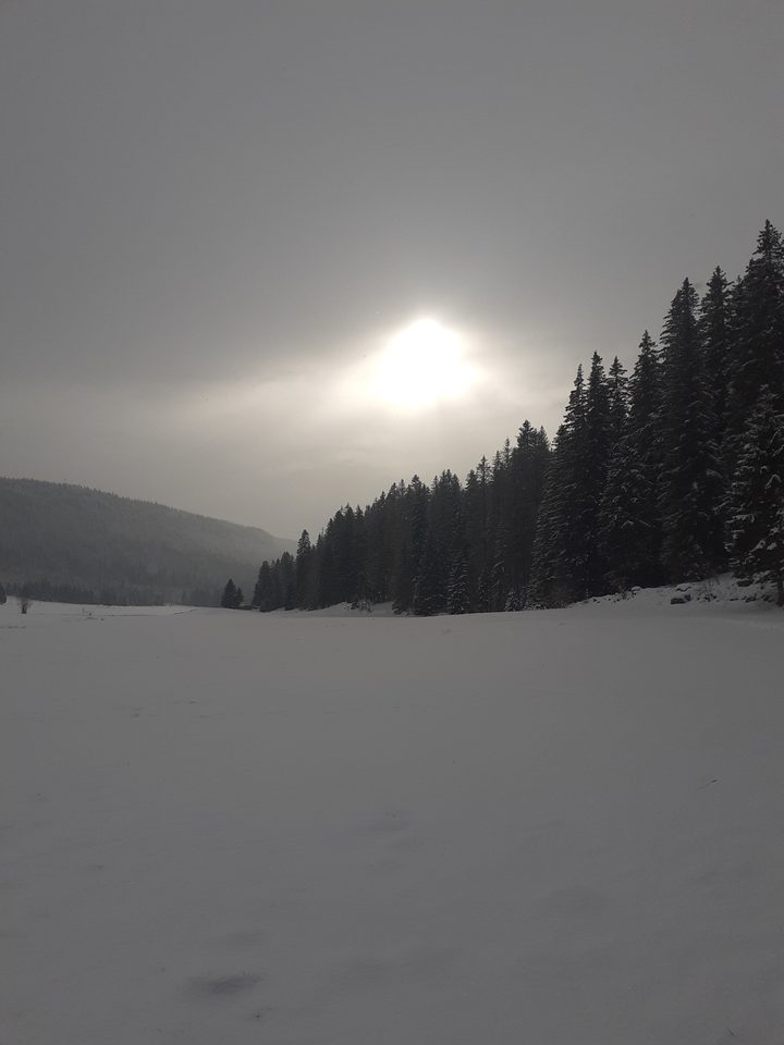 Combes des Cives
