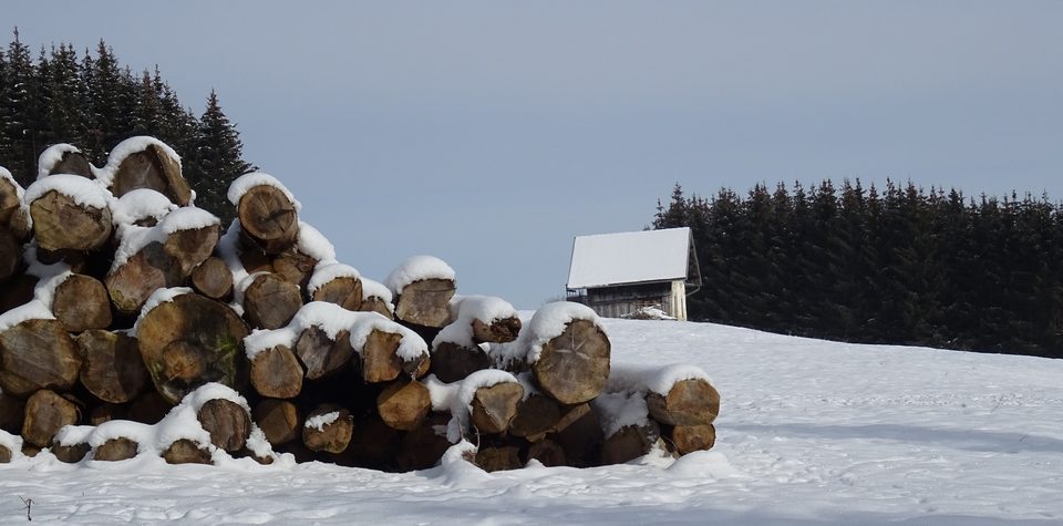 Clairière du sommet les Couffots