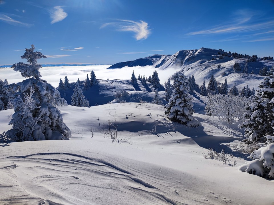 Montagnes dépassant de la brume