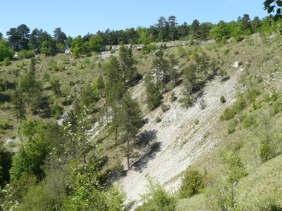 Parc National de Forêts