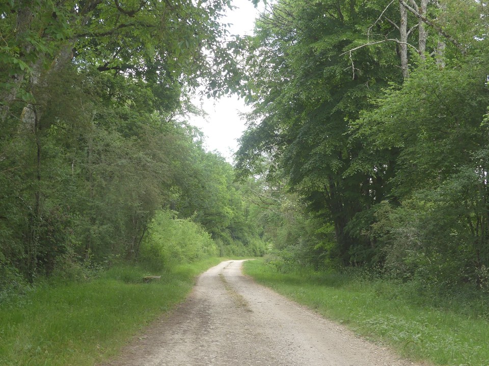 Circuit du Mont Remin
