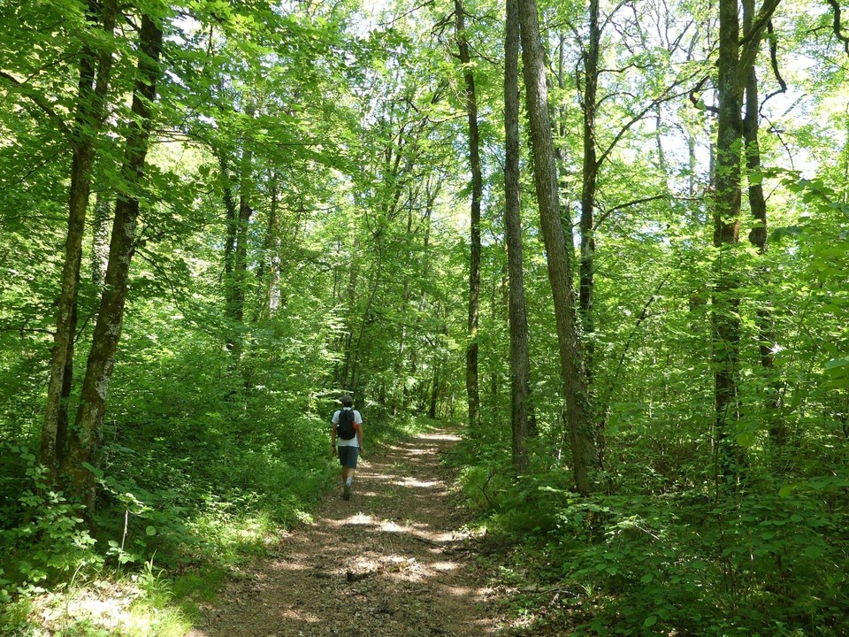 Promeneur sur le circuit du Val des Choues