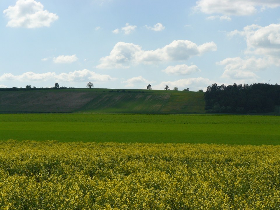 Le circuit d'Epailly