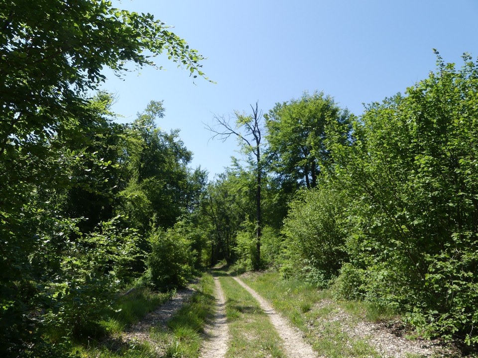 Chemin des Marots