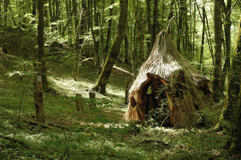 Cabane de charbonnier