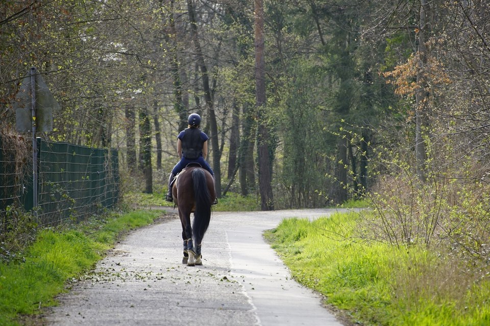 Le Muguet (à cheval)