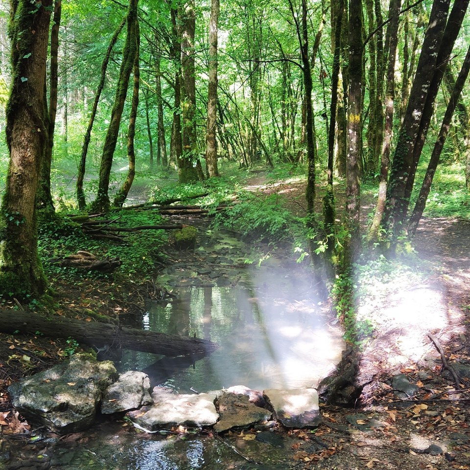 Source de l'Aube