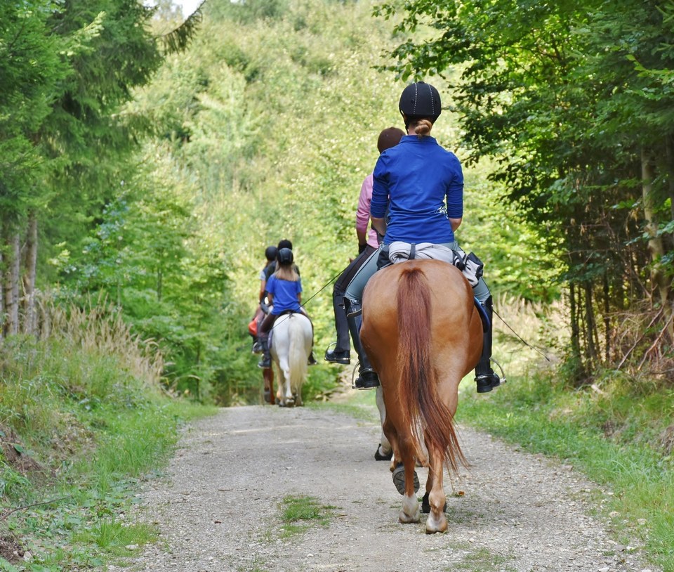 Circuit de la butte de Taloison (à cheval)