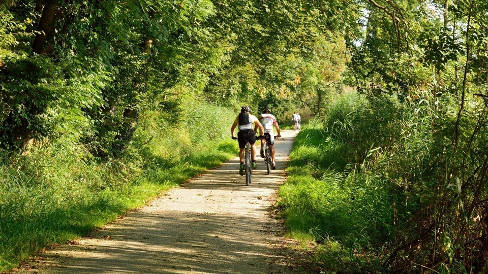 Circuit de la butte de Taloison (à VTT)
