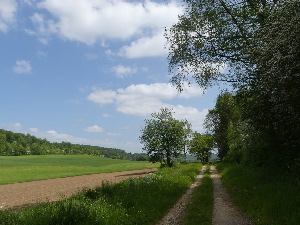 Combe des Riots