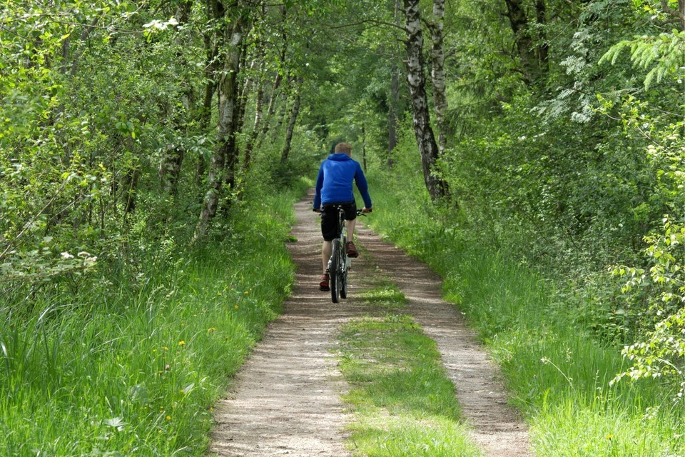Les Gorges de la Vingeanne (à VTT)